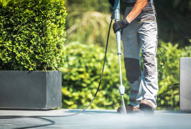Best House Exterior Washing  in Freeland, PA