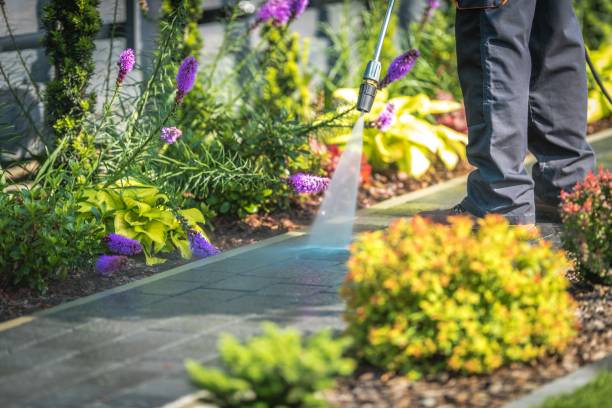 Best Gutter Cleaning  in Freeland, PA