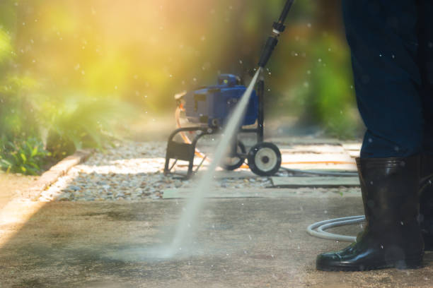 Best Driveway Pressure Washing  in Freeland, PA